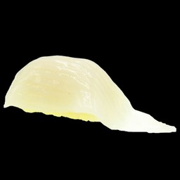 หมึกหิมะ