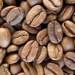 TAM HA KAFAH (ตามหากาแฟ) จามจุรีร้อยปี @กศน.เชียงราย