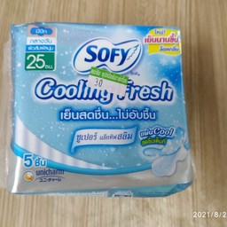 โซฟี คูลลิ่งเฟรชเดย์ แอคทีฟสลิมปีก 25ซม5ชิ้น