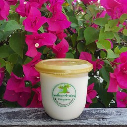 พุดดิ้งมะพร้าวอ่อน