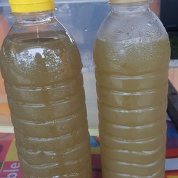 น้ำอ้อยสด