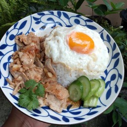 ร้านน้องเฟื่องชวนชิม