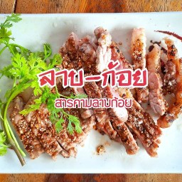 สารคามลาบก้อย อีสานแซ่บนัวร์ สารคามลาบก้อย อีสานแซ่บนัวร์