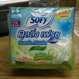 โซฟี คูลลิ่งเฟรชเนเชอรัลเดย์ สลิมปีก 23ซม4ชิ้น20บาท