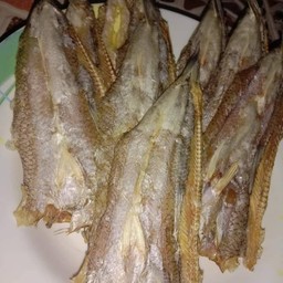 ถังใหญ่เกล็ดหิมะน้ำแข็งใส