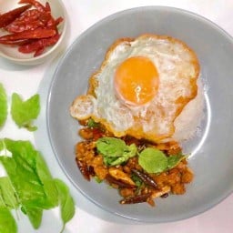 กะเพราพริกแห้งหมู ไก่ ไข่ จั๊บ