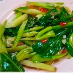 คะน้าผัดน้ำมันหอย(ราดข้าว)