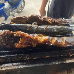 ปลาดุกย่าง