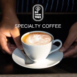 SIT UNDER TREE Special Coffee & Home Roasters คู้บอน