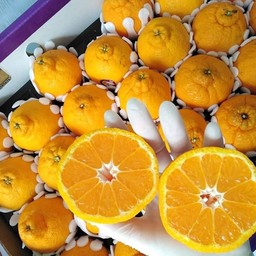 MENU_980675JO_1664284993