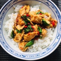 กะเพราไก่ราดข้าว