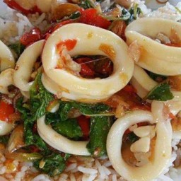 กระเพาปลาหมึก