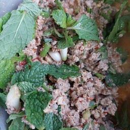 ลาบปลาสร้อย