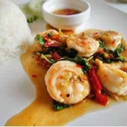 กระเพากุ้ง