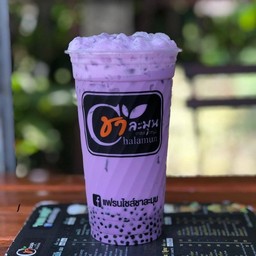 เผือกนมสด