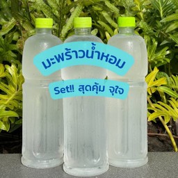 [Setสุดคุ้ม] น้ำมะพร้าวน้ำหอม(บ้านแพ้ว) 100% ขนาด 1 ลิตร จำนวน 3 ขวด , Coconut Water 100% 1 litre x 3 bottles