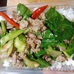 คะน้าเนื้อราดข้าว