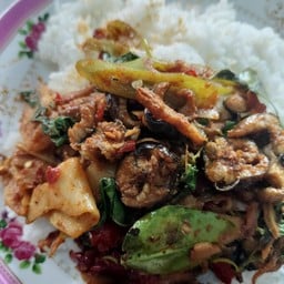 ร้านป้าพิกุลอาหารตามสั่ง อาหารป่า