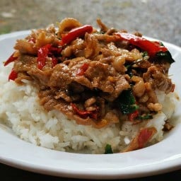 ครัวอิ่มอร่อย อ่วมอ่อง14 อาหารตามสั่ง