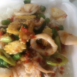 ผัดกระเพราปลาหมึกราดข้าว