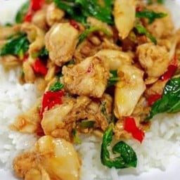 ข้าวกระเพราไก่