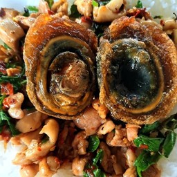 กระเพราไก่ ไข่เยี่ยวม้า ราดข้าว