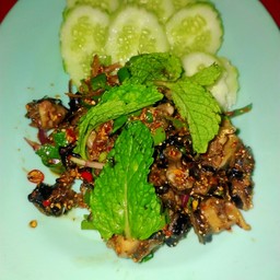 ก้อยหอย