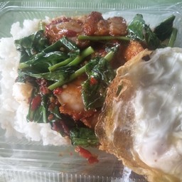 ก๋วยเตี๋ยวโกเด้งตรงข้ามโลตัสพฤกษา74 ก๋วยเตี๋ยวโกเด้ง&อาหารตามสั่งโลตัสพฤกษา74