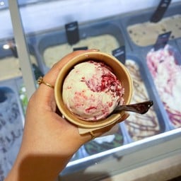 Molto Gelato (มอลโต เจลาโต้) Central Bangna