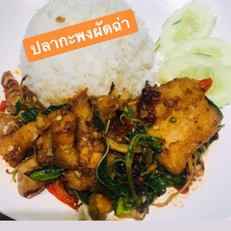 เนื้อปลากะพงผัดฉ่า ราดข้าว