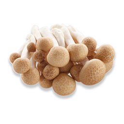 เห็ดชิเมจิดำ (100 กรัม)