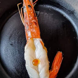 กุ้งอาร์เจนตินา