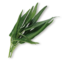 ผักบุ้ง (160 กรัม)