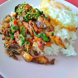 กะเพราปลาทูทอดราดข้าว