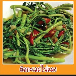 กะเพราเราเอง ประชาราษฎร์บำเพ็ญ