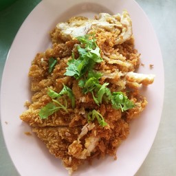 ข้าวมันไก่ไหหลำนายโก้