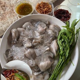 หอยใหญ่ 🦪