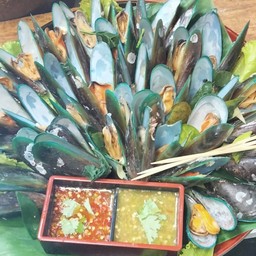 หอยแมงภู่โลละ