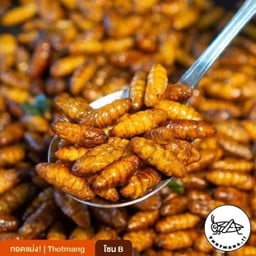 ทอดแม่ง แมลงทอด นครปฐม