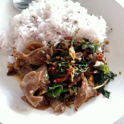 กระเพราหมูเปื่อยราดข้าว