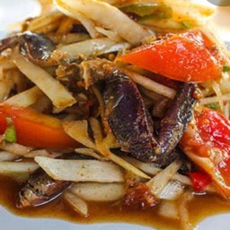 ร้านชาดา (กาแฟสด ส้มตำ)