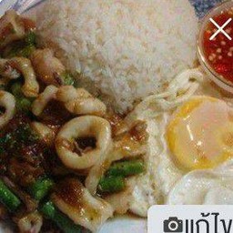 กระเพราปลาหมึกราดข้าว + ไข่ดาว