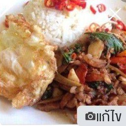 ผัดเผ็ดหมูป่าราดข้าว + ไข่ดาว