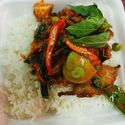 [อร่อยซ่ากับโค้ก] ผัดเผ็ดปลาช่อนราดข้าว +  โค้ก ออริจินัล (กระป๋อง)