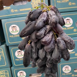 องุ่นแม่มดไร้เมล็ด