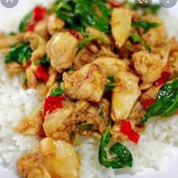 ผัดกระเพราอกไก่ CP ราดข้าวไข่ดาวฟรีจ้า