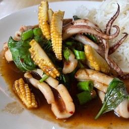 ผัดพริกเผาปลาหมึก ราดข้าว