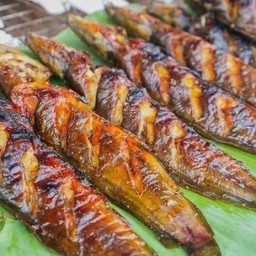 ปลาดุกย่าง