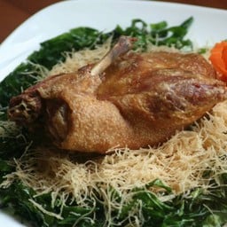 เป็ดล่อน