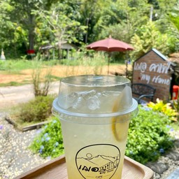 น้ำผึ้งมะนาว